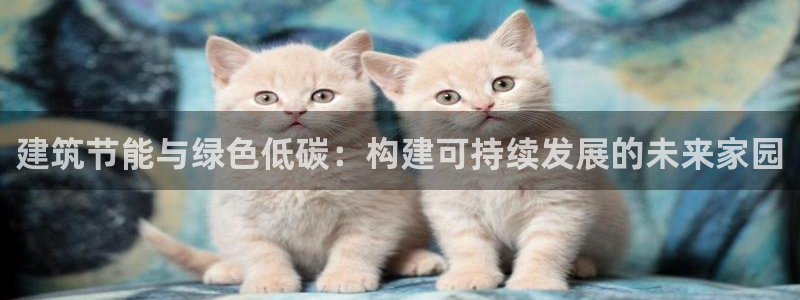 e尊国际是干什么的：建筑节能与绿色低碳：构建可持续发展的未来家园