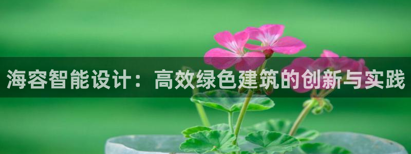 e尊国际娱乐官网地址：海容智能设计：高效绿色建筑的创新与实践