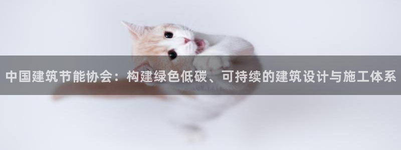 e尊国际的手机登录网站：中国建筑节能协会：构建绿色低碳、可持续的建筑设计与施工体系