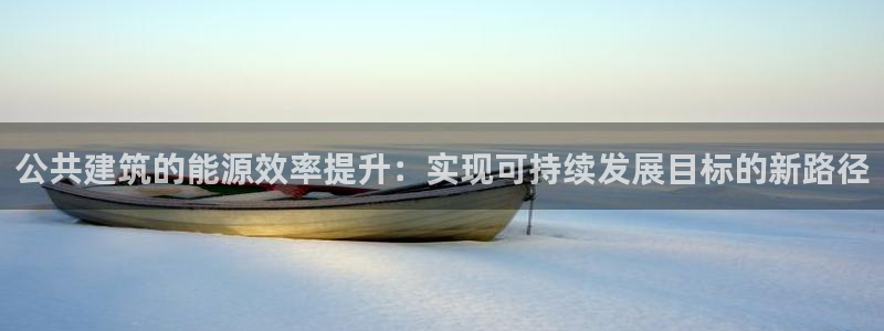 e尊国际是干什么的：公共建筑的能源效率提升：实现可持续发展目标的新路径