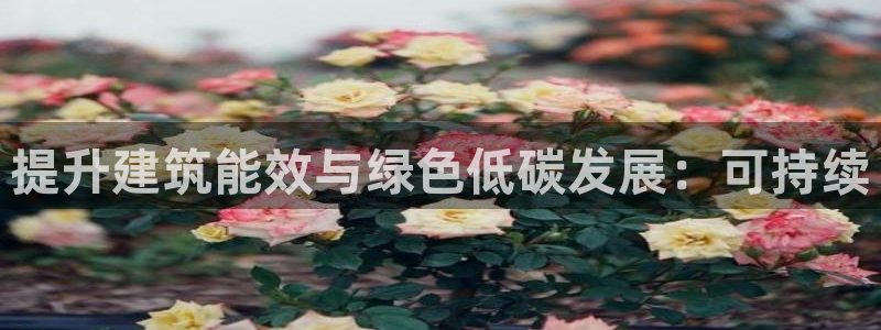 e尊国际客户端：提升建筑能效与绿色低碳发展：可持续