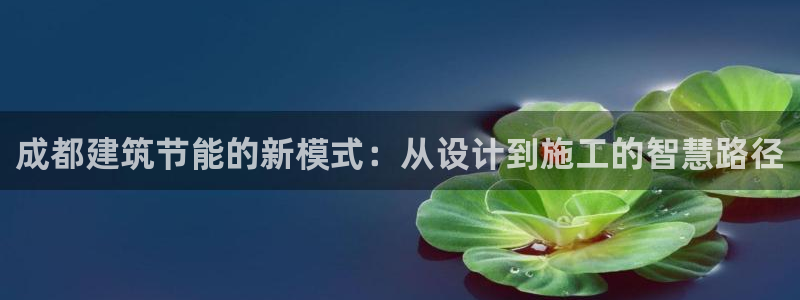 e尊国际平台