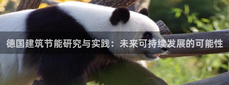 尊亿娱乐国际官网
