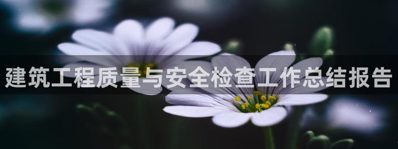 E尊国际网站：建筑工程质量与安全检查工作总结报告