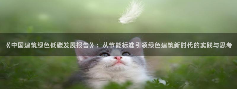 e尊电竞