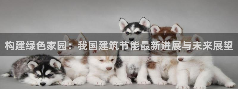 e尊国际-e尊国际官网