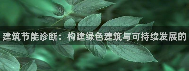 E尊国际网站