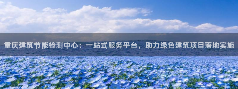 e尊国际是干什么的：重庆建筑节能检测中心：一站式服务平台，助力绿色建筑项目落地实施