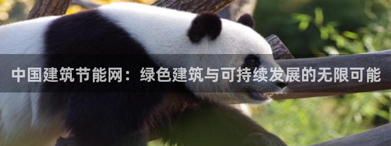 e尊国际官网：中国建筑节能网：绿色建筑与可持续发展的无限可能