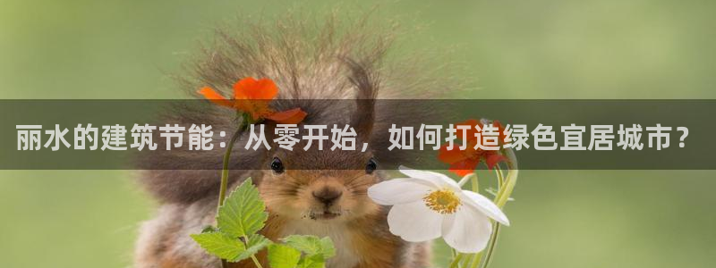 尊亿游戏国际官网：丽水的建筑节能：从零开始，如何打造绿色宜居城市？