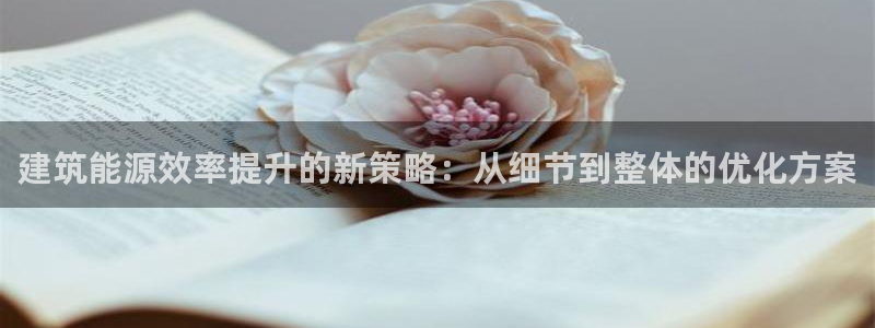 e尊国际是干什么的：建筑能源效率提升的新策略：从细节到整体的优化方案