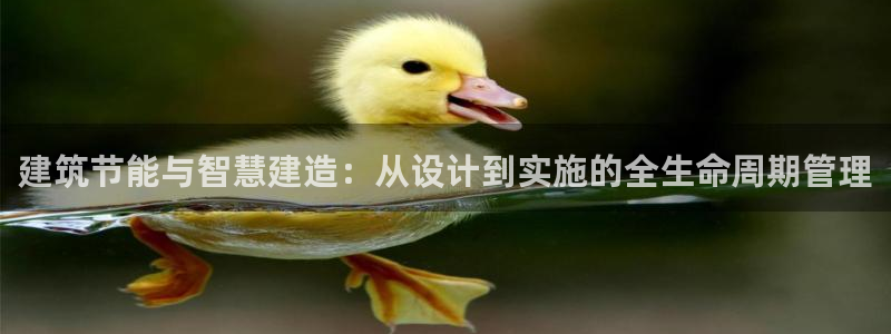 e尊国际的手机登录网站：建筑节能与智慧建造：从设计到实施的全生命周期管理