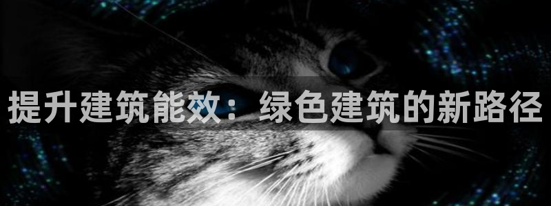 E尊国际网站：提升建筑能效：绿色建筑的新路径