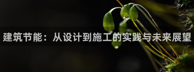 e尊国际平台