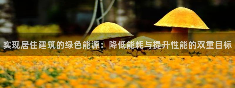 e尊国际官方网站