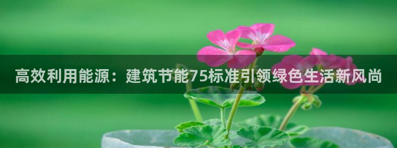 e尊国际平台