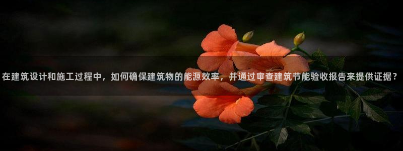 E尊国际：在建筑设计和施工过程中，如何确保建筑物的能源效率，并通过审查建筑节能验收报告来提供证据？