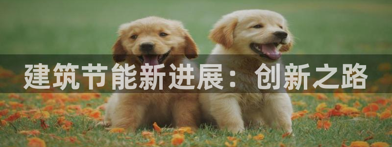 e尊体育