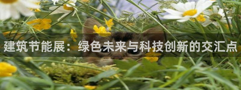 e尊国际的手机登录网站：建筑节能展：绿色未来与科技创新的交汇点