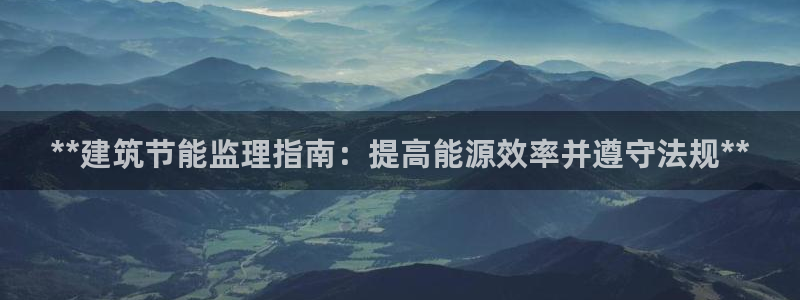 e尊国际是干什么的：**建筑节能监理指南：提高能源效率并遵守法规**
