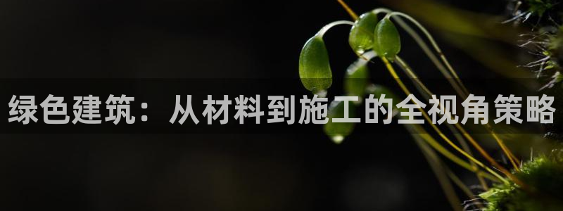e尊国际网址