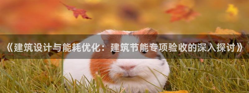 e尊国际是个黑网