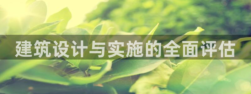 e尊国际官网：建筑设计与实施的全面评估