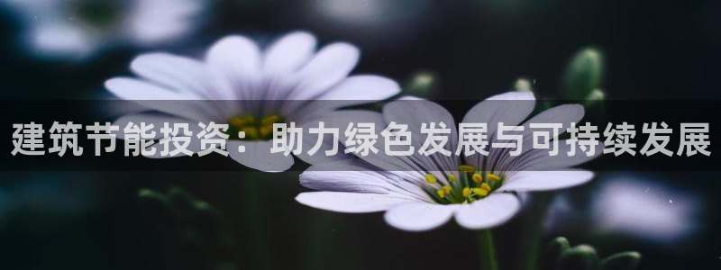 e尊国际官方网站：建筑节能投资：助力绿色发展与可持续发展