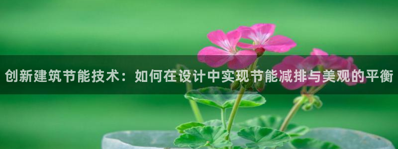 e尊国际官网app：创新建筑节能技术：如何在设计中实现节能减排与美观的平衡