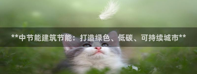 尊亿游戏国际官网：**中节能建筑节能：打造绿色、低碳、可持续城市**