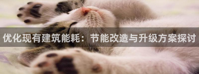 e尊国际-可可计划