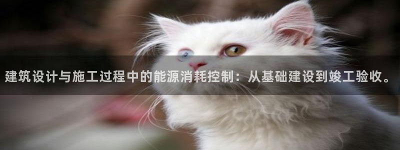 e尊官网：建筑设计与施工过程中的能源消耗控制：从基础建设到竣工验收。